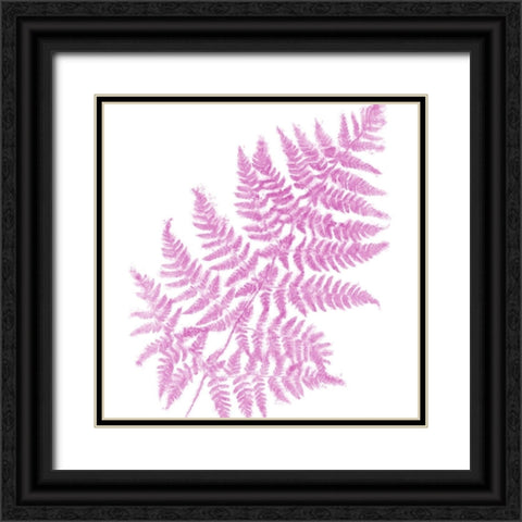 Fresh III Black Ornate Wood Framed Art Print with Double Matting by Lavoie, Tina