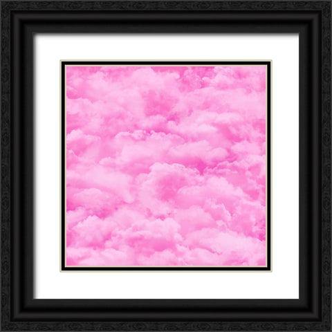 Pink Sky Black Ornate Wood Framed Art Print with Double Matting by Lavoie, Tina