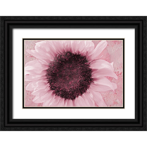 Pinkie La Rue Black Ornate Wood Framed Art Print with Double Matting by Lavoie, Tina