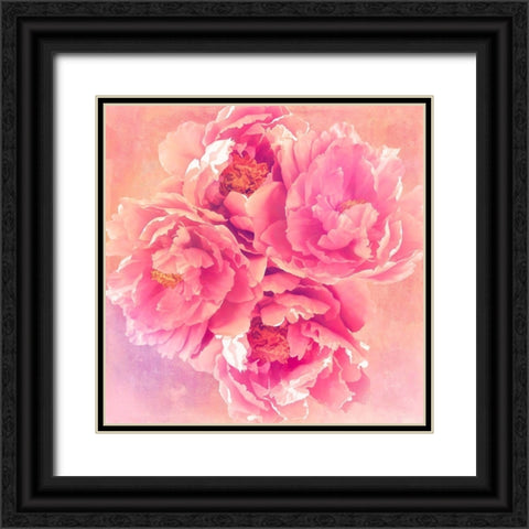 Peony Garden Black Ornate Wood Framed Art Print with Double Matting by Lavoie, Tina