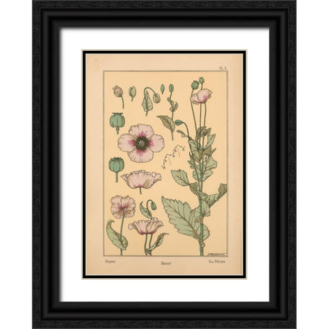 Plate 04 - Poppy Black Ornate Wood Framed Art Print with Double Matting by Vintage Apple Collection