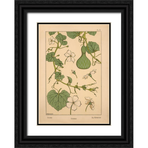 Plate 13 - Courd Black Ornate Wood Framed Art Print with Double Matting by Vintage Apple Collection