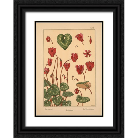 Plate 22 - Cyclamen Black Ornate Wood Framed Art Print with Double Matting by Vintage Apple Collection