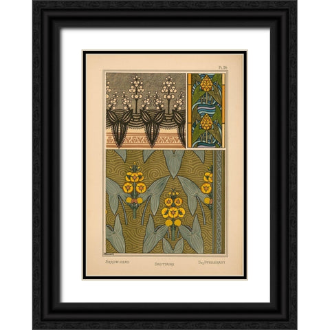Plate 26 - Arrow-Head Black Ornate Wood Framed Art Print with Double Matting by Vintage Apple Collection