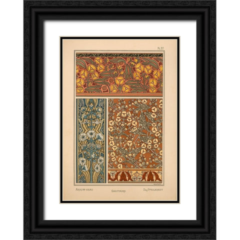 Plate 27 - Arrow-Head Black Ornate Wood Framed Art Print with Double Matting by Vintage Apple Collection