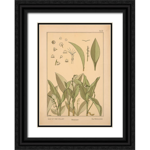 Plate 37 - Lily of the Valley Black Ornate Wood Framed Art Print with Double Matting by Vintage Apple Collection