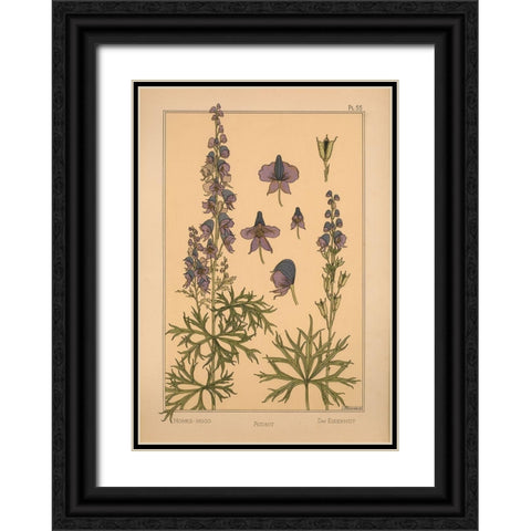 Plate 55 - Monks-hood Black Ornate Wood Framed Art Print with Double Matting by Vintage Apple Collection