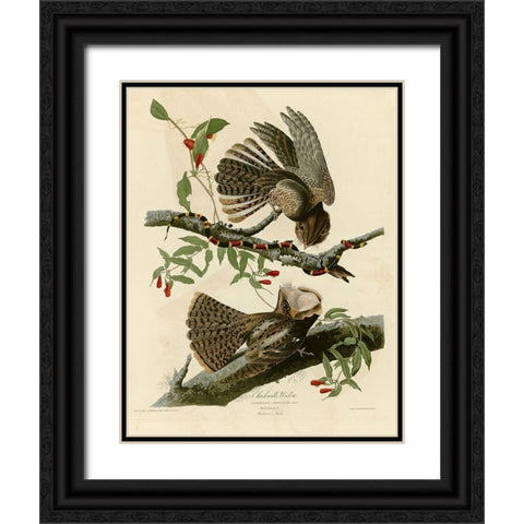 Chuck Wills Widow Black Ornate Wood Framed Art Print with Double Matting by Vintage Apple Collection