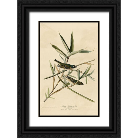 Solitary Flycatcher Black Ornate Wood Framed Art Print with Double Matting by Vintage Apple Collection