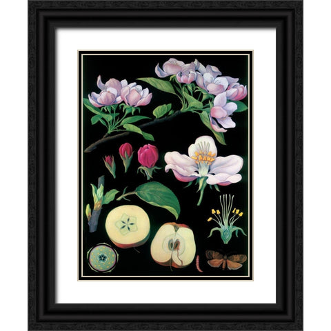 Apple Tree Black Ornate Wood Framed Art Print with Double Matting by Vintage Apple Collection
