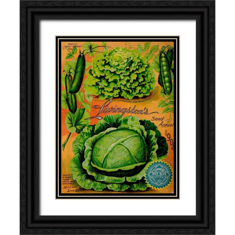Annual Of True Blue Lettuce Black Ornate Wood Framed Art Print with Double Matting by Vintage Apple Collection