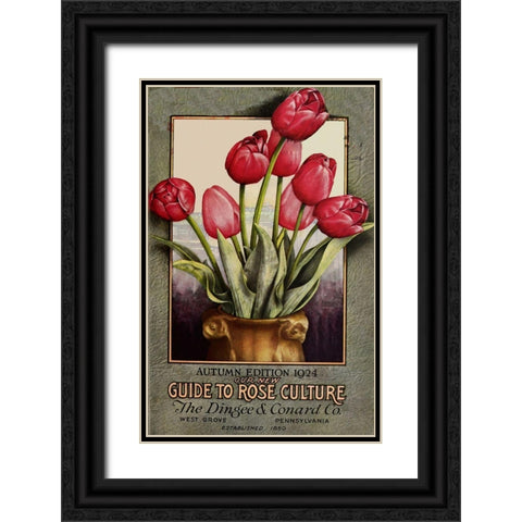 Red Roses Black Ornate Wood Framed Art Print with Double Matting by Vintage Apple Collection