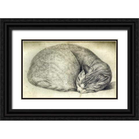 Sleeping Cat Black Ornate Wood Framed Art Print with Double Matting by Vintage Apple Collection
