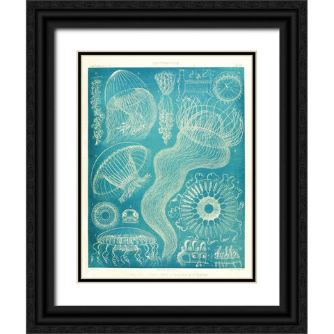 Jellyfish Sealife Black Ornate Wood Framed Art Print with Double Matting by Vintage Apple Collection