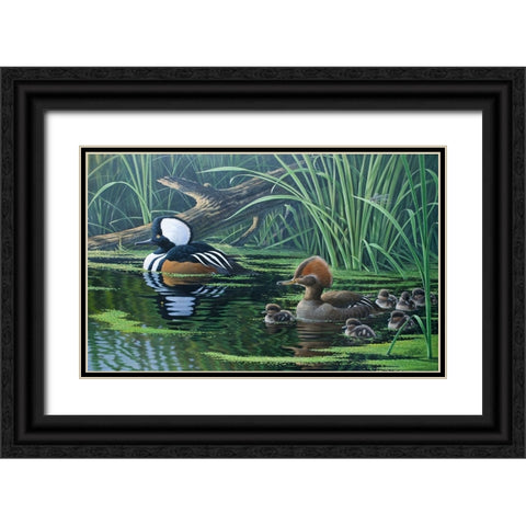 Merganser Black Ornate Wood Framed Art Print with Double Matting by Goebel, Wilhelm