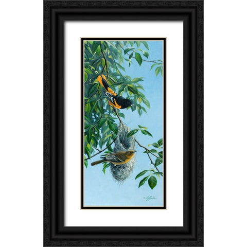 Nesting Orioles Black Ornate Wood Framed Art Print with Double Matting by Goebel, Wilhelm