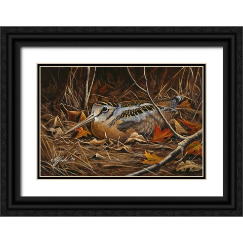 Woodcock In Hiding Black Ornate Wood Framed Art Print with Double Matting by Goebel, Wilhelm