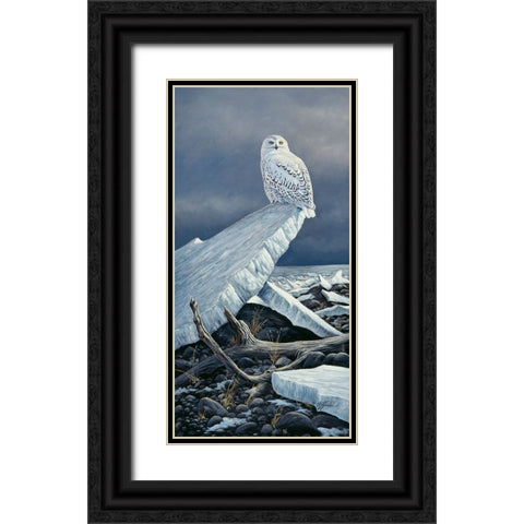 Lakeshore Ice Black Ornate Wood Framed Art Print with Double Matting by Goebel, Wilhelm