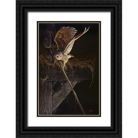 Tight Rope Barn Owl Black Ornate Wood Framed Art Print with Double Matting by Goebel, Wilhelm