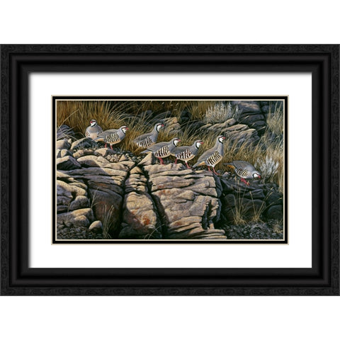 Rimrock Covey - Chukars Black Ornate Wood Framed Art Print with Double Matting by Goebel, Wilhelm