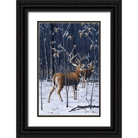 Buck In His Prime Black Ornate Wood Framed Art Print with Double Matting by Goebel, Wilhelm