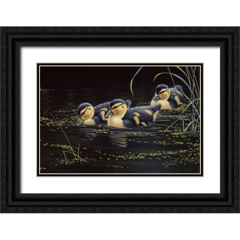 Mallard Ducklings Black Ornate Wood Framed Art Print with Double Matting by Goebel, Wilhelm