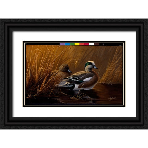 Widgeon In The Grass Black Ornate Wood Framed Art Print with Double Matting by Goebel, Wilhelm