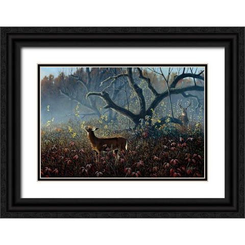 Old Orchard - Whitetails Black Ornate Wood Framed Art Print with Double Matting by Goebel, Wilhelm