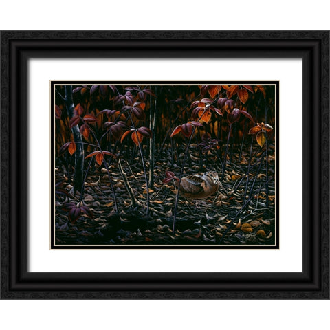 The Woodcocks World Black Ornate Wood Framed Art Print with Double Matting by Goebel, Wilhelm