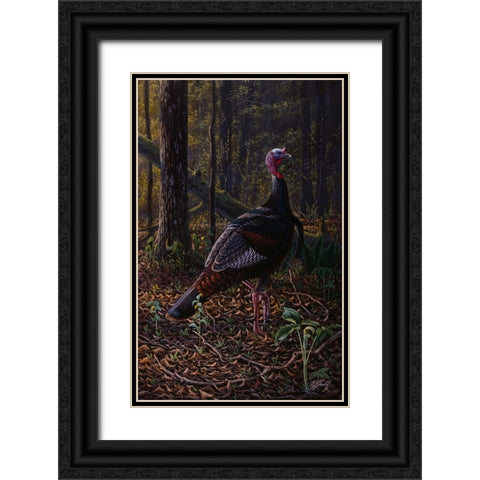 Ever Alert - Wild Turkey Black Ornate Wood Framed Art Print with Double Matting by Goebel, Wilhelm