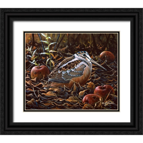 Orchard Woodcock Black Ornate Wood Framed Art Print with Double Matting by Goebel, Wilhelm
