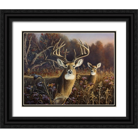 Deer Black Ornate Wood Framed Art Print with Double Matting by Goebel, Wilhelm