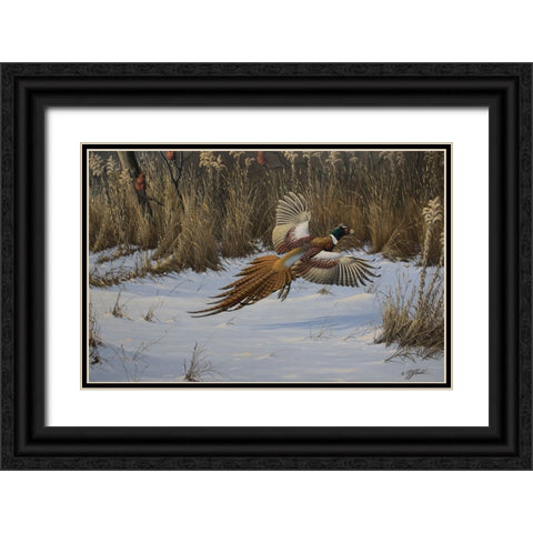 Landing Zone Black Ornate Wood Framed Art Print with Double Matting by Goebel, Wilhelm