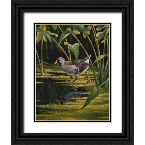 Sora Rail Black Ornate Wood Framed Art Print with Double Matting by Goebel, Wilhelm