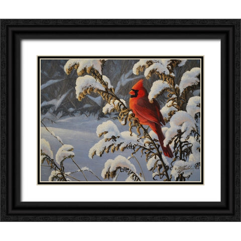 Winter Cardinal Black Ornate Wood Framed Art Print with Double Matting by Goebel, Wilhelm