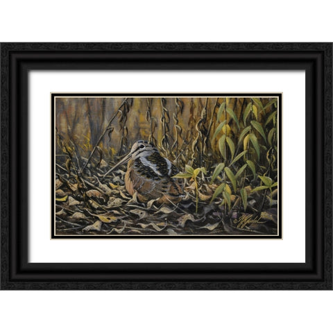 Woodcock Black Ornate Wood Framed Art Print with Double Matting by Goebel, Wilhelm