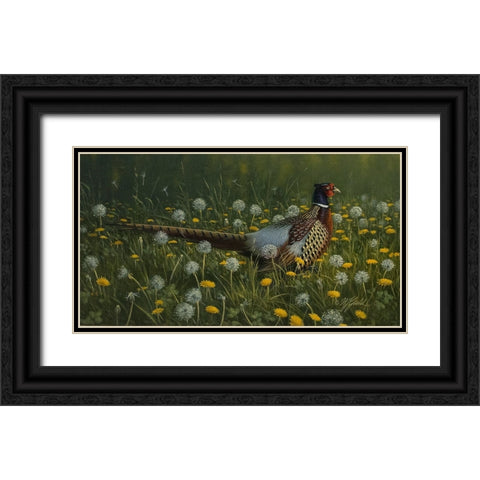 Dandy Rooster - Formosan Ring-necked Pheasant Black Ornate Wood Framed Art Print with Double Matting by Goebel, Wilhelm