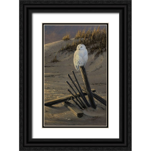 Dune Watcher - Snowy Owl Black Ornate Wood Framed Art Print with Double Matting by Goebel, Wilhelm