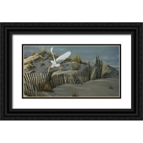 Launch - Snowy Owl Black Ornate Wood Framed Art Print with Double Matting by Goebel, Wilhelm