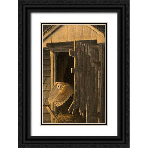 Out of the Darkness - Barn Owl Black Ornate Wood Framed Art Print with Double Matting by Goebel, Wilhelm