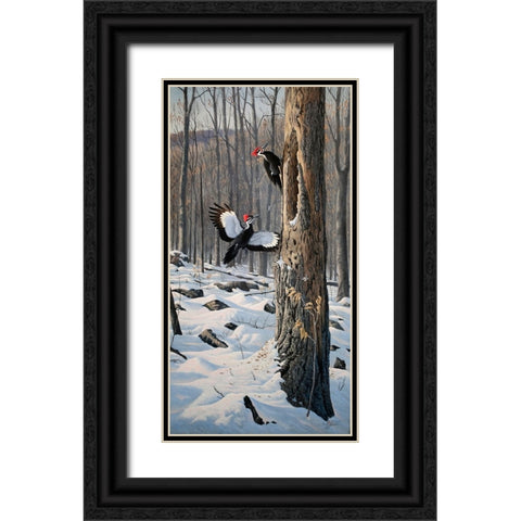 Swooping In - Pileated Woodpeckers Black Ornate Wood Framed Art Print with Double Matting by Goebel, Wilhelm