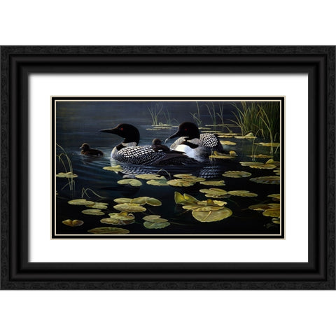 Shoreline Refuge - Loon Family Black Ornate Wood Framed Art Print with Double Matting by Goebel, Wilhelm