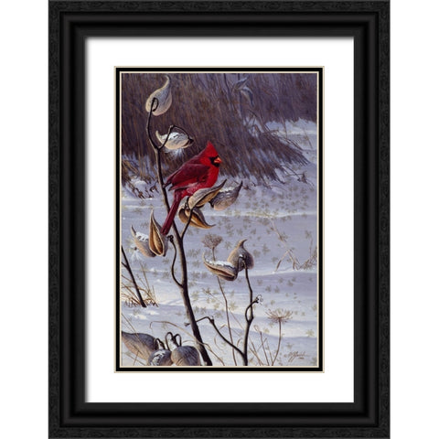 Cardinal And Milkweed Black Ornate Wood Framed Art Print with Double Matting by Goebel, Wilhelm