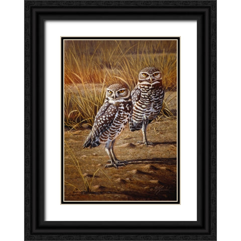 Burrowing Owls Black Ornate Wood Framed Art Print with Double Matting by Goebel, Wilhelm