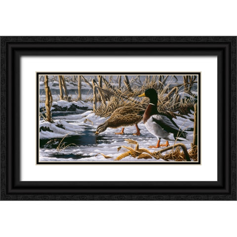 Spring Thaw - Mallards Black Ornate Wood Framed Art Print with Double Matting by Goebel, Wilhelm