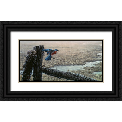 April Showers - Eastern Bluebird Black Ornate Wood Framed Art Print with Double Matting by Goebel, Wilhelm