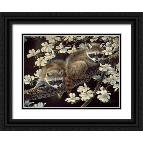 Dogwood Hideout - Young Raccoons Black Ornate Wood Framed Art Print with Double Matting by Goebel, Wilhelm