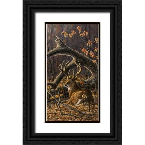 Bedded Buck Black Ornate Wood Framed Art Print with Double Matting by Goebel, Wilhelm