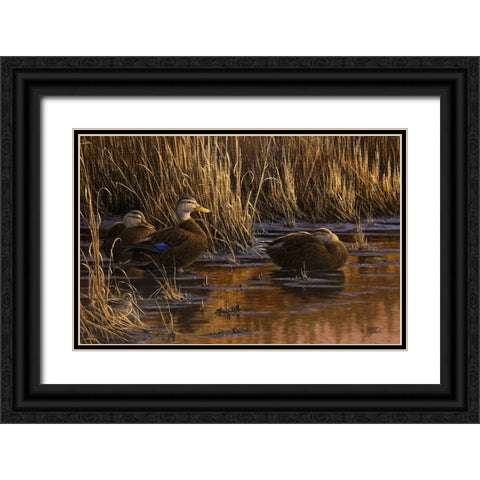 Belly Deep and Half Asleep Black Ornate Wood Framed Art Print with Double Matting by Goebel, Wilhelm