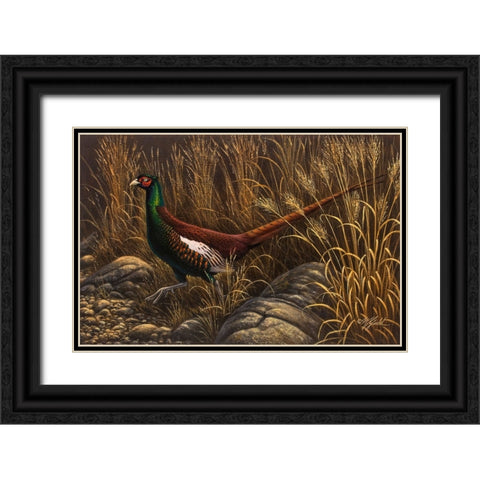 Bianchi Pheasant Black Ornate Wood Framed Art Print with Double Matting by Goebel, Wilhelm